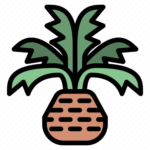Palm, tree, nature, forest, plant, lanscape icon - Download on Iconfinder