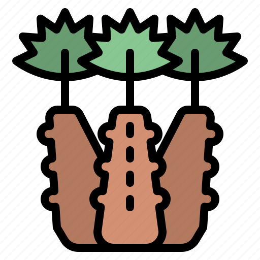 Plam, tree, nature, forest, plant, green, lanscape icon - Download on Iconfinder