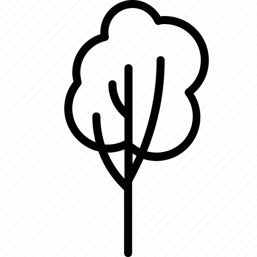 Tree, o, nature, forest, garden, leaf icon - Download on Iconfinder