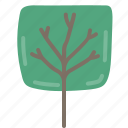 tree, f, nature, forest, garden, leaf