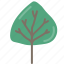 tree, f, nature, forest, garden, leaf