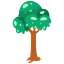 tree, nature, plant, forest, green, ecology, leaf, park, environment 