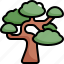 bonsai, botanical, ecology, garden, gardening, nature, tree 