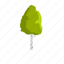 birch, branch, forest, leaf, nature, object, tree