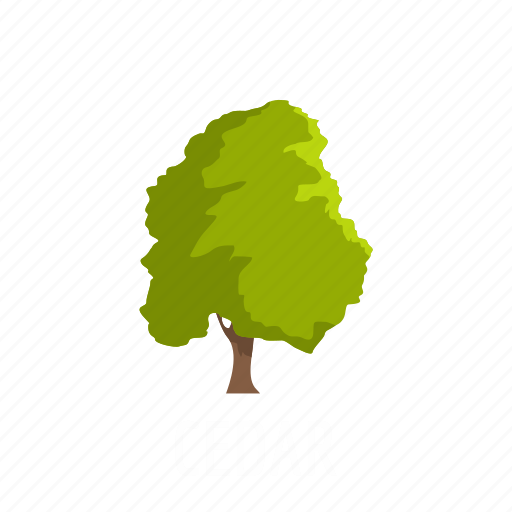 Branch, cedar, forest, leaf, nature, object, tree icon - Download on Iconfinder