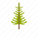 branch, forest, larch, leaf, nature, object, tree