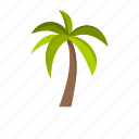 branch, forest, leaf, nature, object, palm, tree