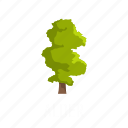 alder, branch, forest, leaf, nature, object, tree
