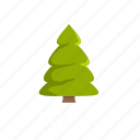 branch, forest, leaf, nature, object, spruce, tree