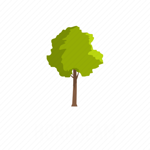 Environment, forest, hornbeam, leaf, nature, object, tree icon - Download on Iconfinder