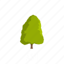 ash, forest, nature, object, plant, tree, trunk