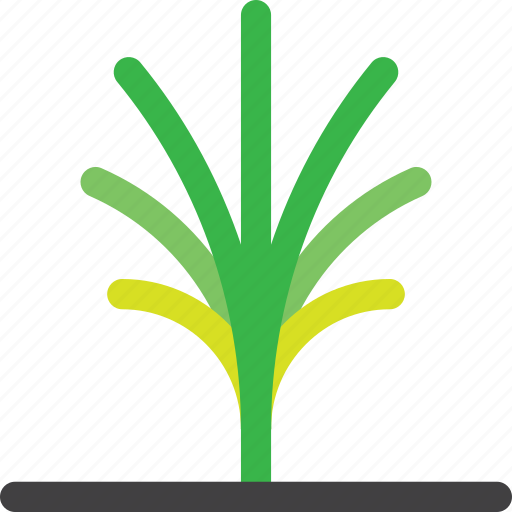 Forest, grow, nature, tree, environment, farm, palm icon - Download on Iconfinder