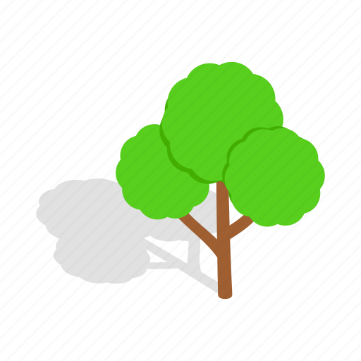 Branch, forest, green, growth, isometric, plant, tree icon - Download on Iconfinder