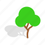 branch, forest, green, growth, isometric, plant, tree 