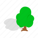 branch, forest, green, growth, isometric, plant, tree