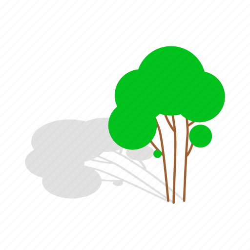 Branch, forest, green, growth, isometric, plant, tree icon - Download on Iconfinder