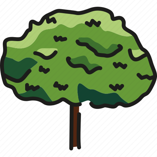 Maple, tree, wood icon - Download on Iconfinder