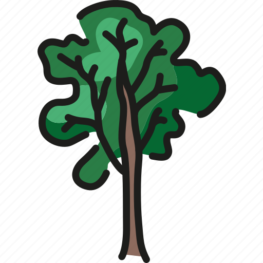 Ash, tree, wood icon - Download on Iconfinder on Iconfinder