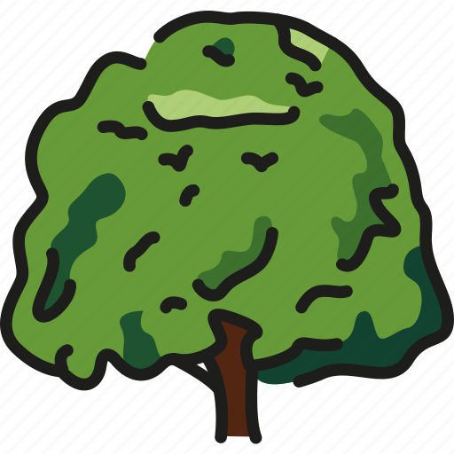 Beech, tree, green icon - Download on Iconfinder