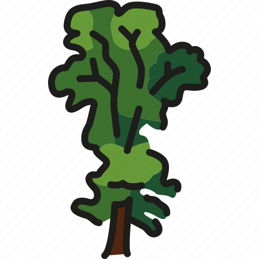 Elm, tree, green icon - Download on Iconfinder on Iconfinder