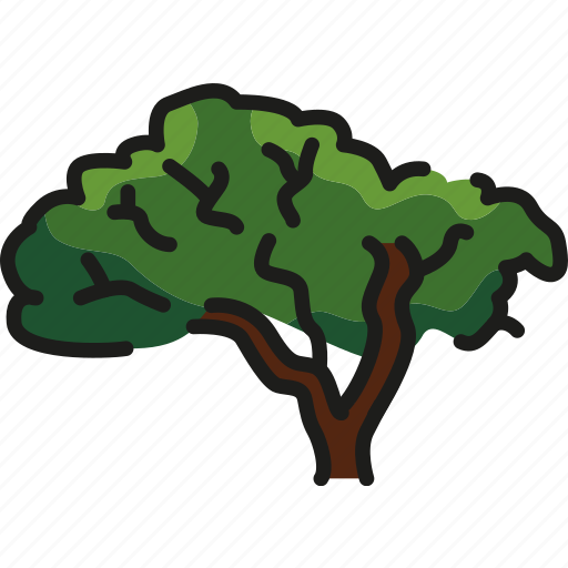 Velvet, amur, tree icon - Download on Iconfinder
