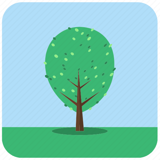 Forest, jungle, leaves, nature, plant, tree, trees icon - Download on Iconfinder
