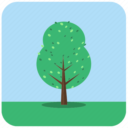 Forest, jungle, leaves, nature, plant, tree, trees icon - Download on Iconfinder