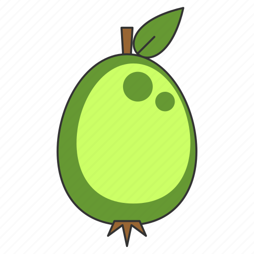 Fruit, guava, organic, healthy, sweet icon - Download on Iconfinder