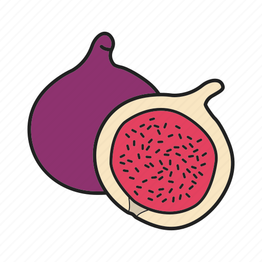 Ficus, fig, fruit, tropical icon - Download on Iconfinder