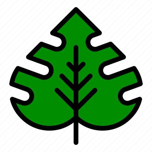 Leaf, nature, plant, tropical icon - Download on Iconfinder