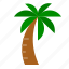 nature, palm, tree, tropical 