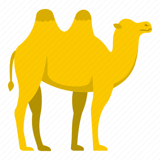 Animal, camel, desert, mammal, tourism, travel, turkey icon - Download on Iconfinder