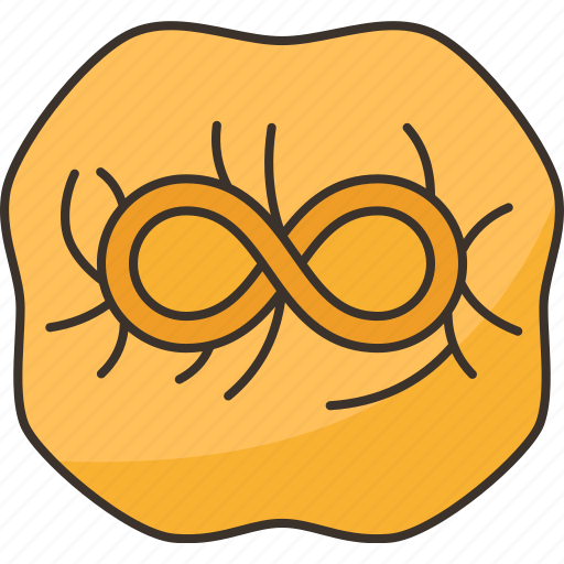 Manti, meat, steamed, appetizer, dinner icon - Download on Iconfinder