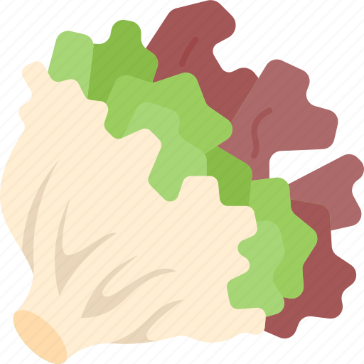 Leaf, lettuce, salad, vegetable, plant icon - Download on Iconfinder