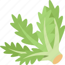 oak, leaf, salad, vegetable, gourmet