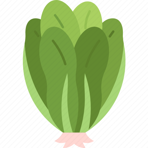 Spinach, vegetable, food, garnish, vitamins icon - Download on Iconfinder