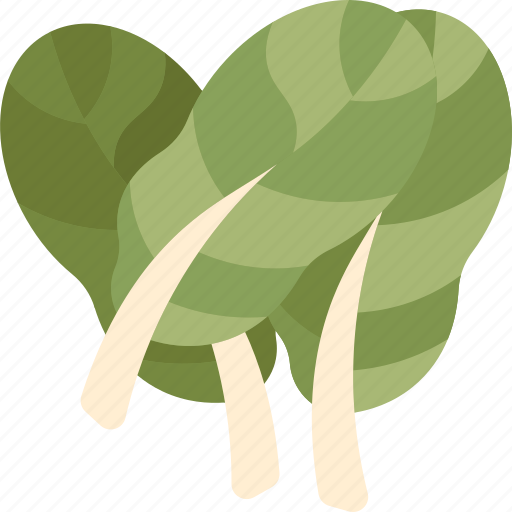 Tatsoi, leaf, vegetable, ingredient, cuisine icon - Download on Iconfinder