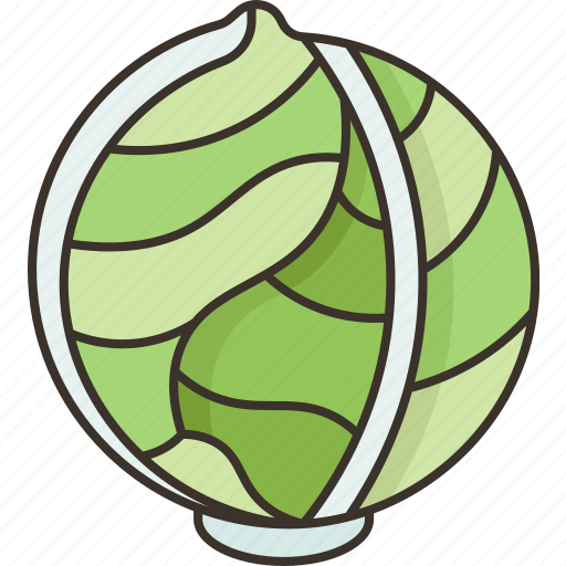 Cabbage, vegetable, ingredient, cooking, nutrition icon - Download on Iconfinder
