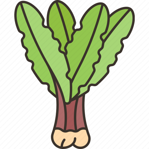 Dandelion, leaf, lettuce, salad, organic icon - Download on Iconfinder