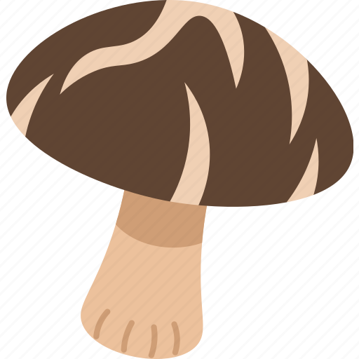 Mushroom, shitake, edible, cooking, nutrition icon - Download on Iconfinder