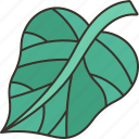 betel, leaf, herbal, food, ingredient
