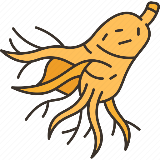 Ginseng, root, herb, asian, traditional icon - Download on Iconfinder