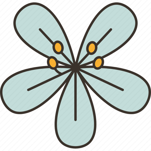 Kalong, flower, blossom, garden, botany icon - Download on Iconfinder