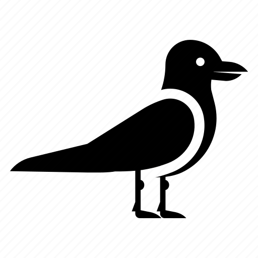 Bird, columbidae, creature, dove, pigeon, specie icon - Download on Iconfinder