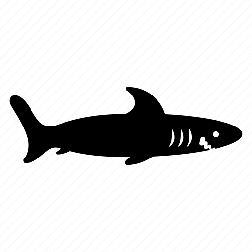 Aquatic animal, creature, fish, selachimorpha, shark, specie, submarine icon - Download on Iconfinder