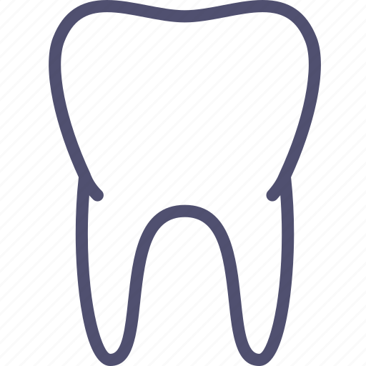 Anatomy, medicine, teeth, tooth icon - Download on Iconfinder