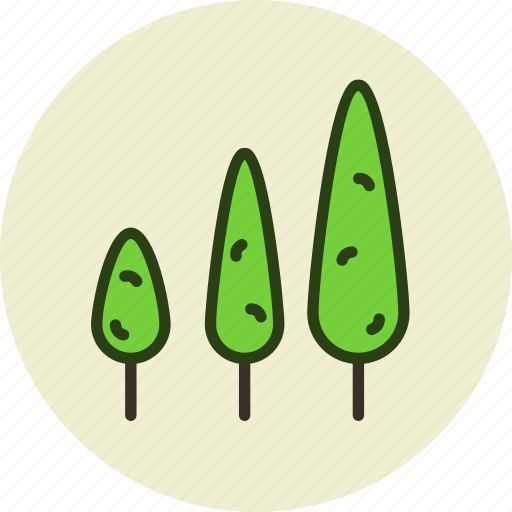 Cypress, ecology, forest, nature, park, trees icon - Download on Iconfinder