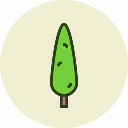 Cypress, park, tree icon - Download on Iconfinder