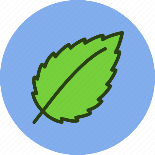 Ecology, fresh, leaf, nature, news icon - Download on Iconfinder