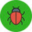 bug, ecology, insect 